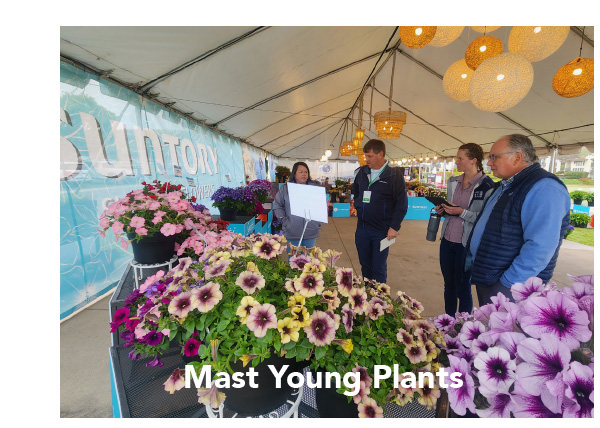 Mast Young Plants