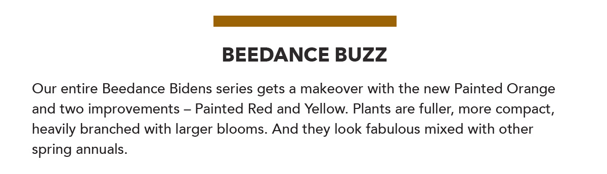 Beedance Buzz