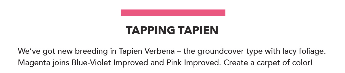 Tapping Tapien