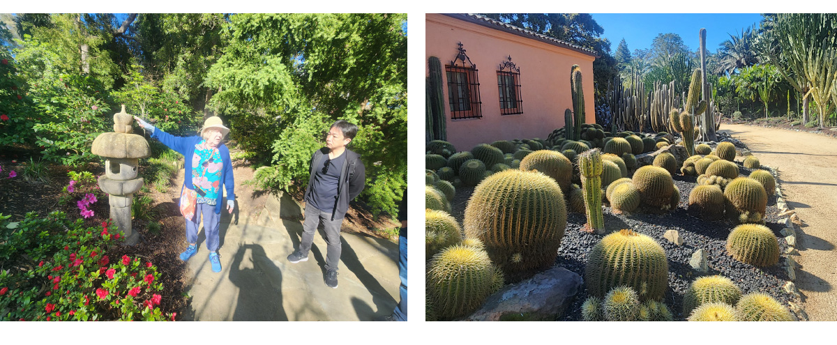 LotusLand