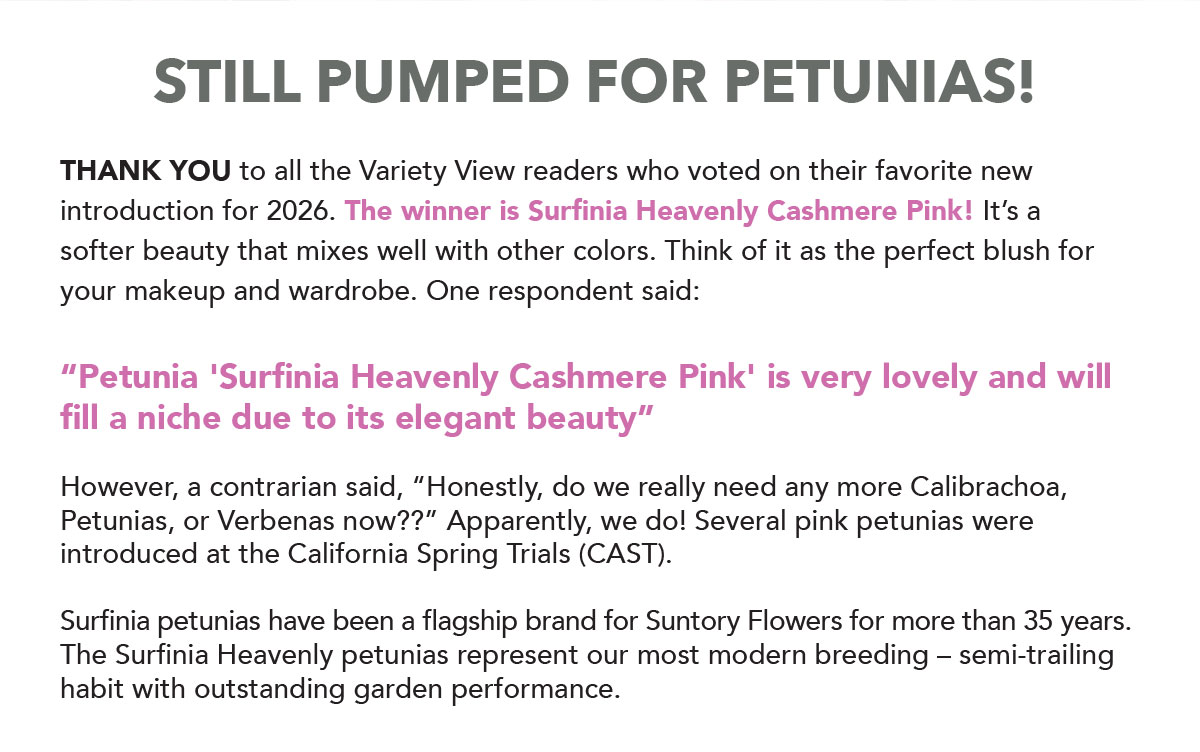 The winner is Cashmere Pink
