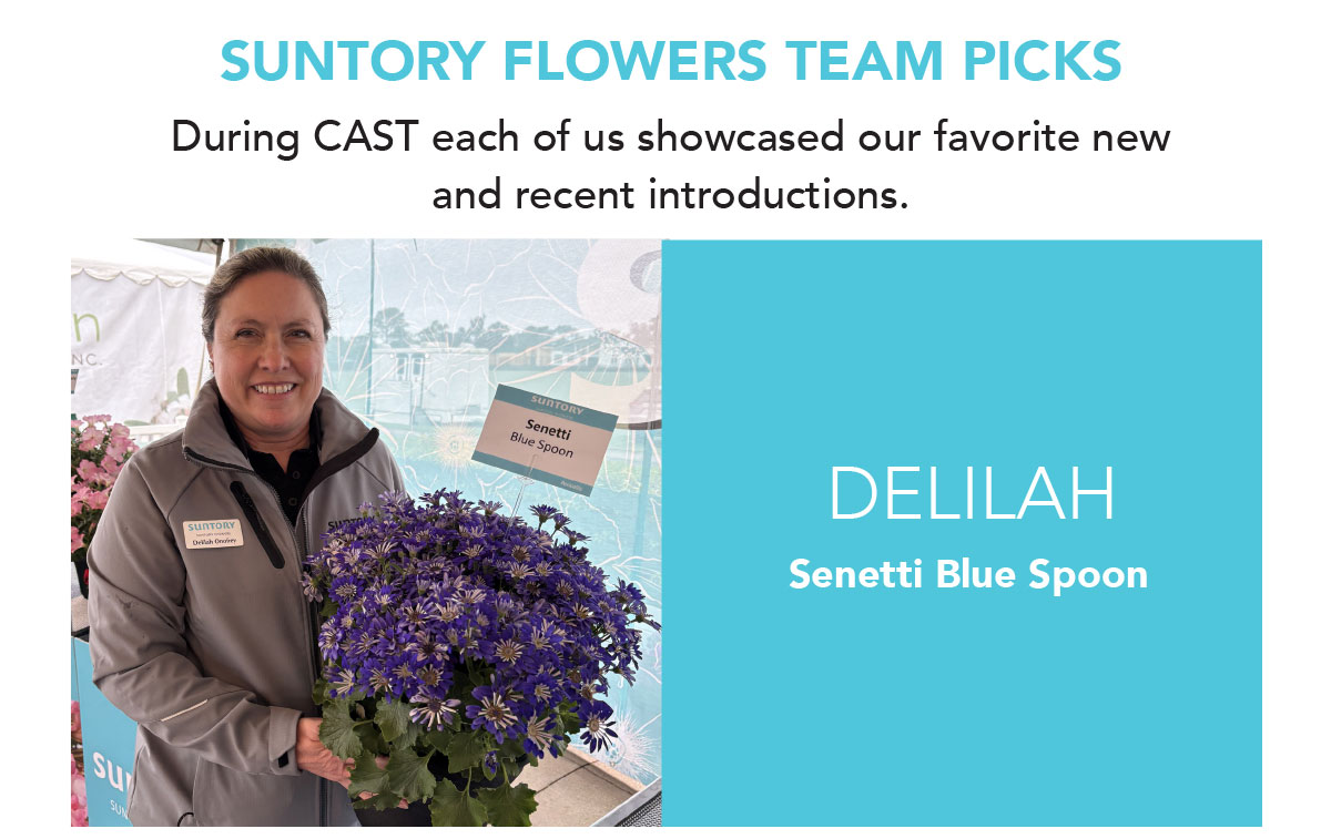 Delilah, SENETTI® Blue Spoon