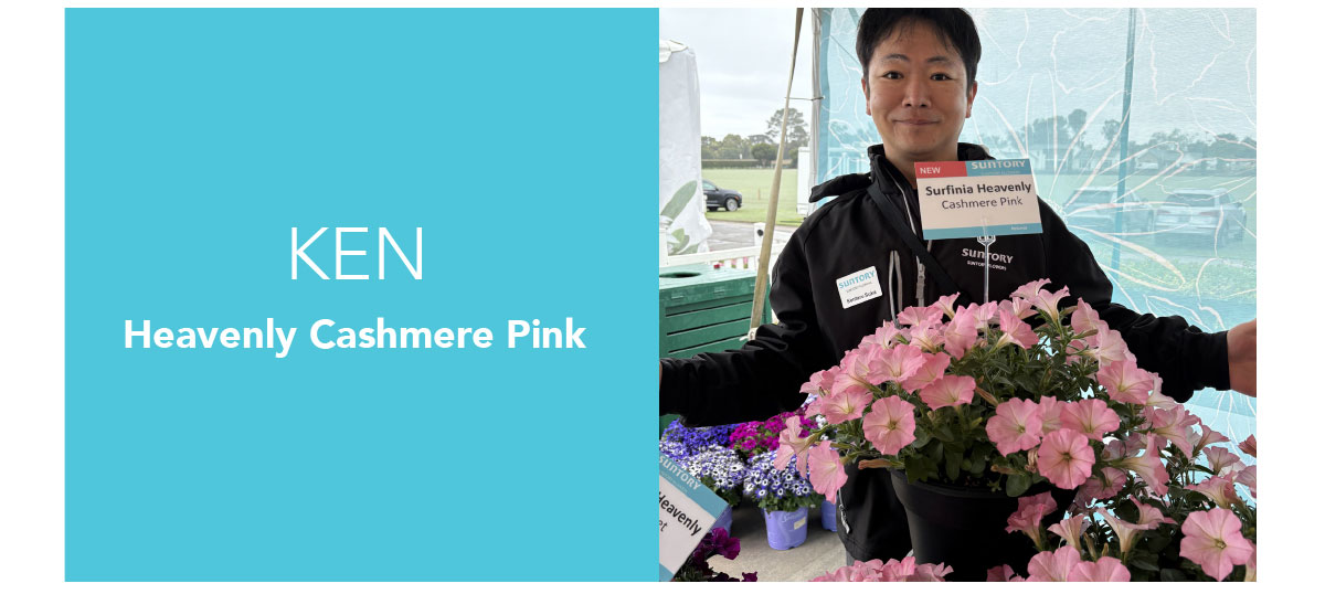 Ken, SURFINIA® HEAVENLY Cashmere Pink