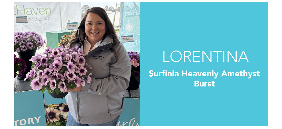 Lorentina, SURFINIA® HEAVENLY Amethyst Burst