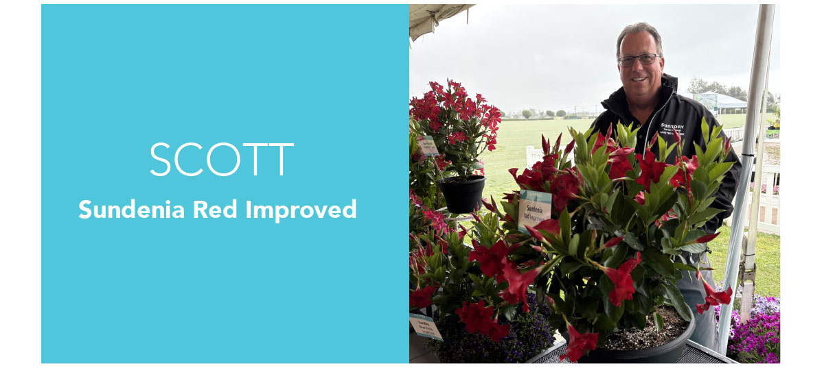 Scott, SUNDENIA® Red Improved