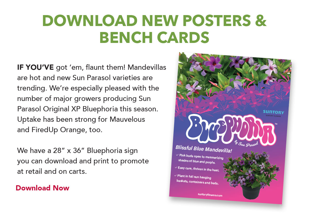 Download Bluephoria Sign
