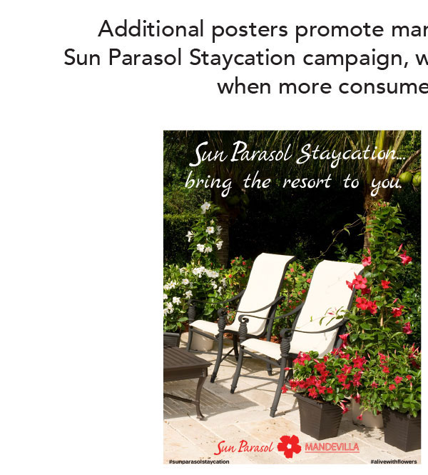 Staycation