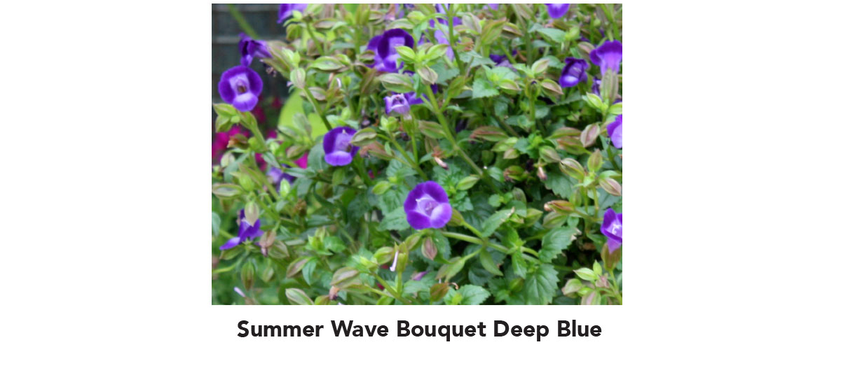 Summer Wave Deep Blue