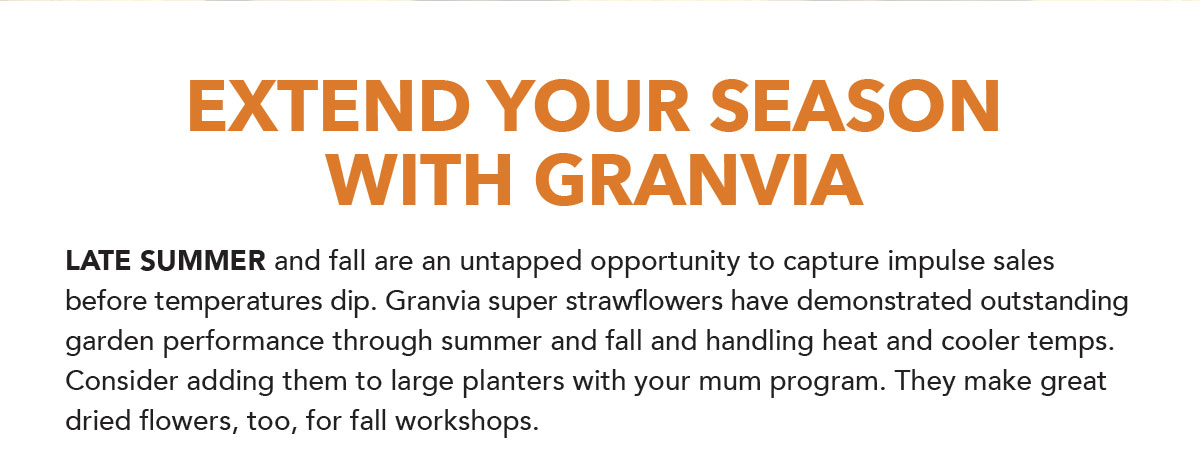 Extend your season with Granvia