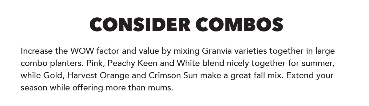 Consider Combos