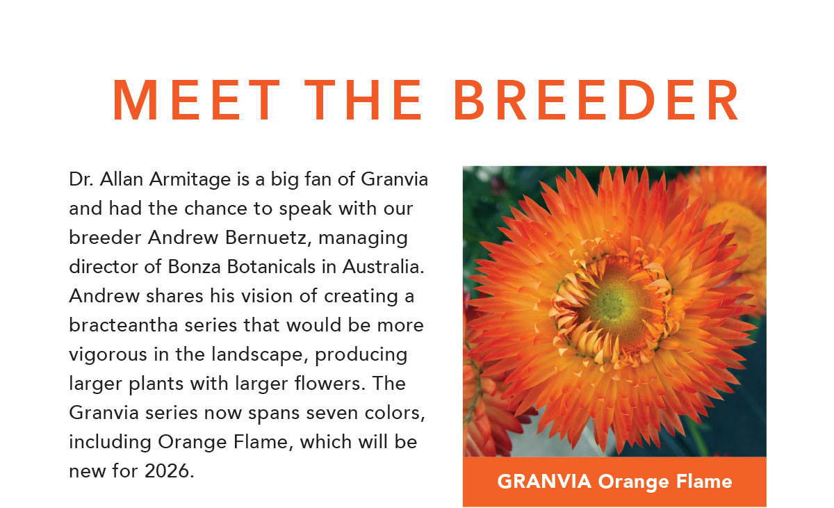 Meet the Breeder, GRANVIA Orange Flame