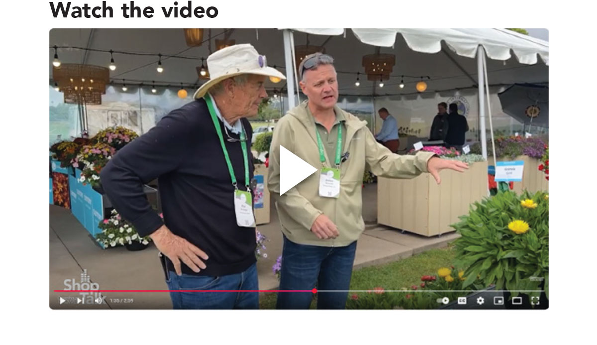 WATCH VIDEO: