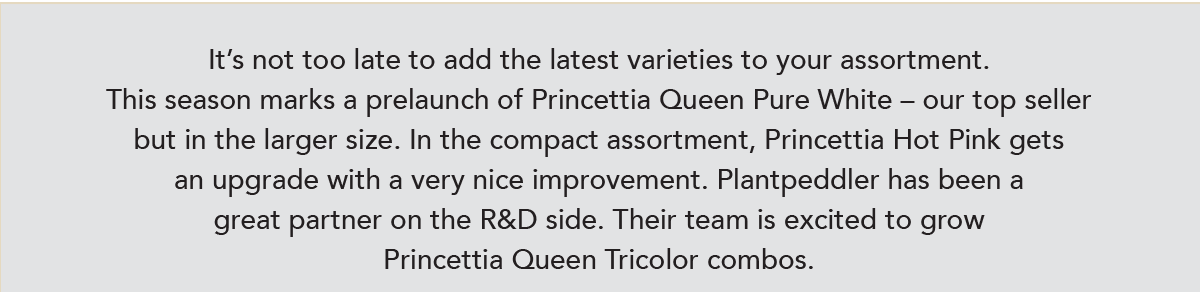 Princettia Queen Tricolor combo