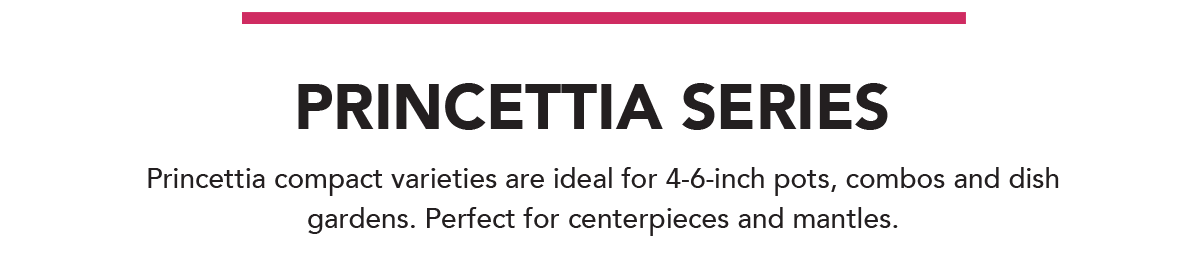 Princettia Series