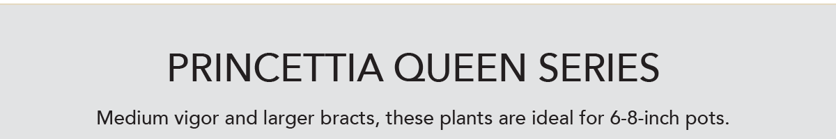 Princettia Queen Series