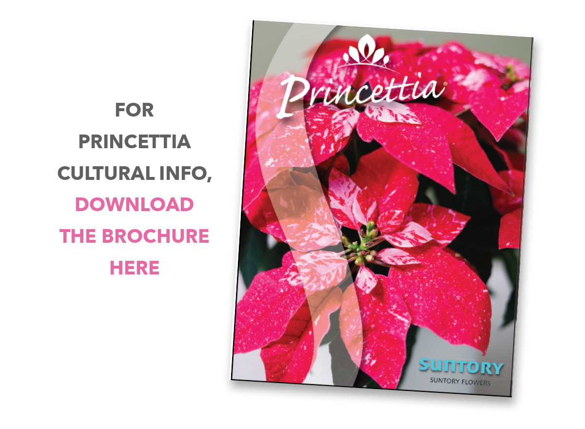 Download Brochure