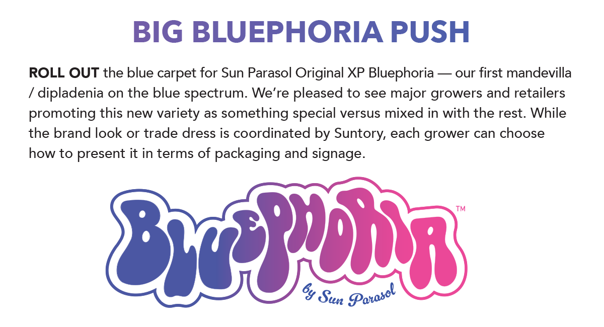 Bluephoria