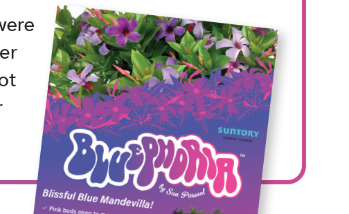 Bluephoria Cart sign