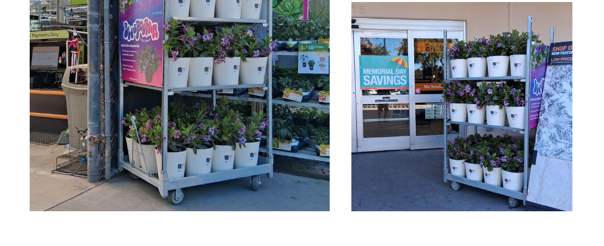 Garys Ornamentals