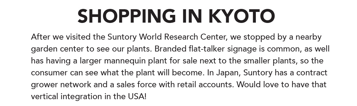 Shopping in Kyoto