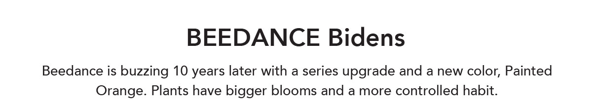 Beedance Bidens Series
