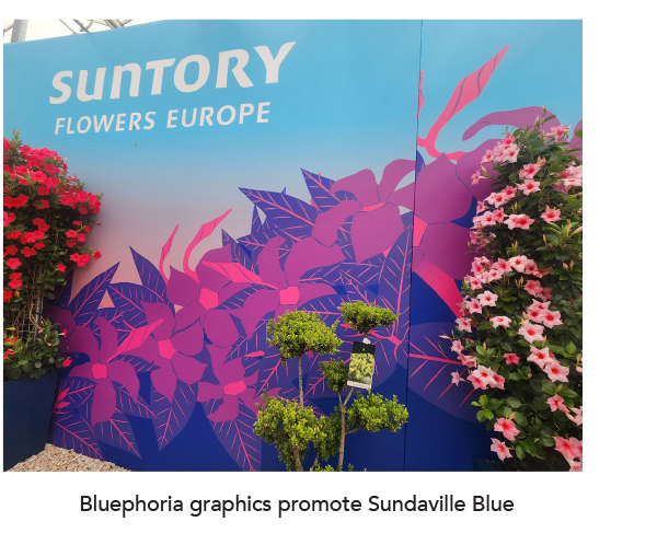Sundaville® Blue (Bluephoria™) graphics promote Sundaville Blue