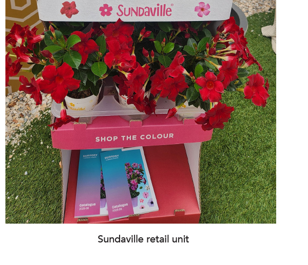 Sundaville retail unit