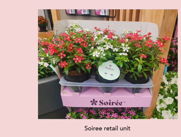 Soirée™ retail unit