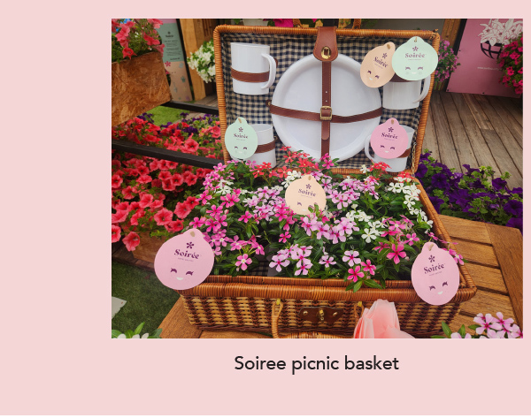 SOIREE® KAWAII picnic basket