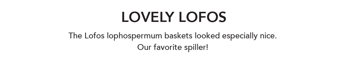 Lovely LOFOS