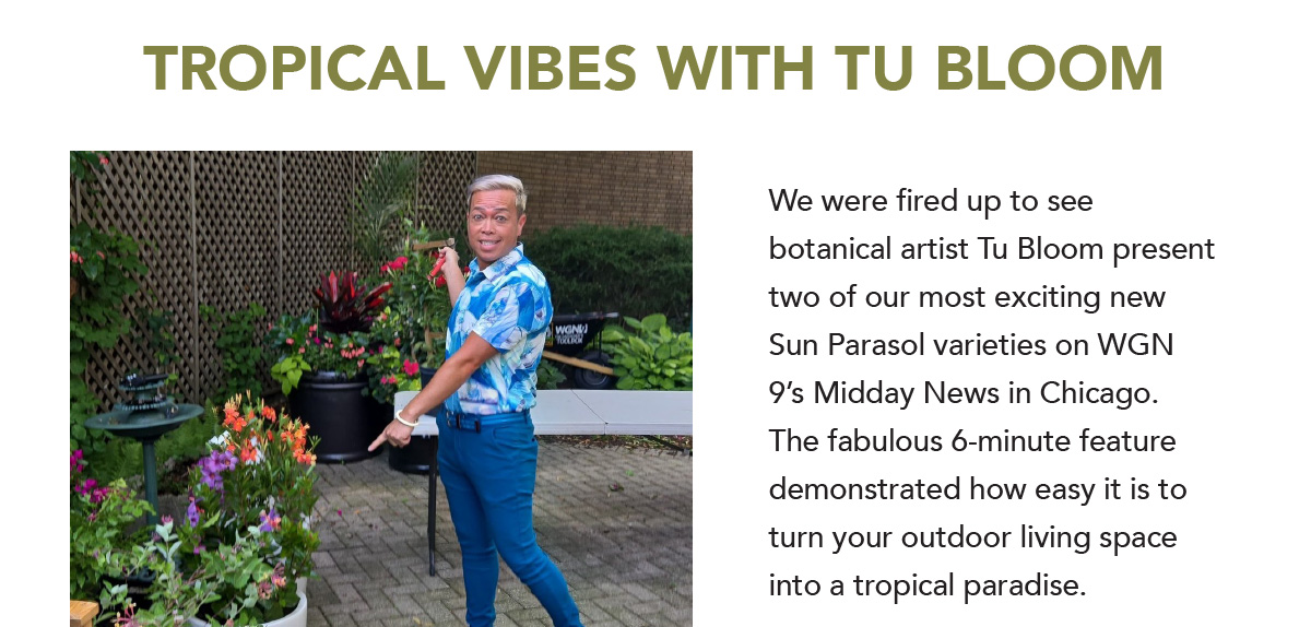 Tu Bloom