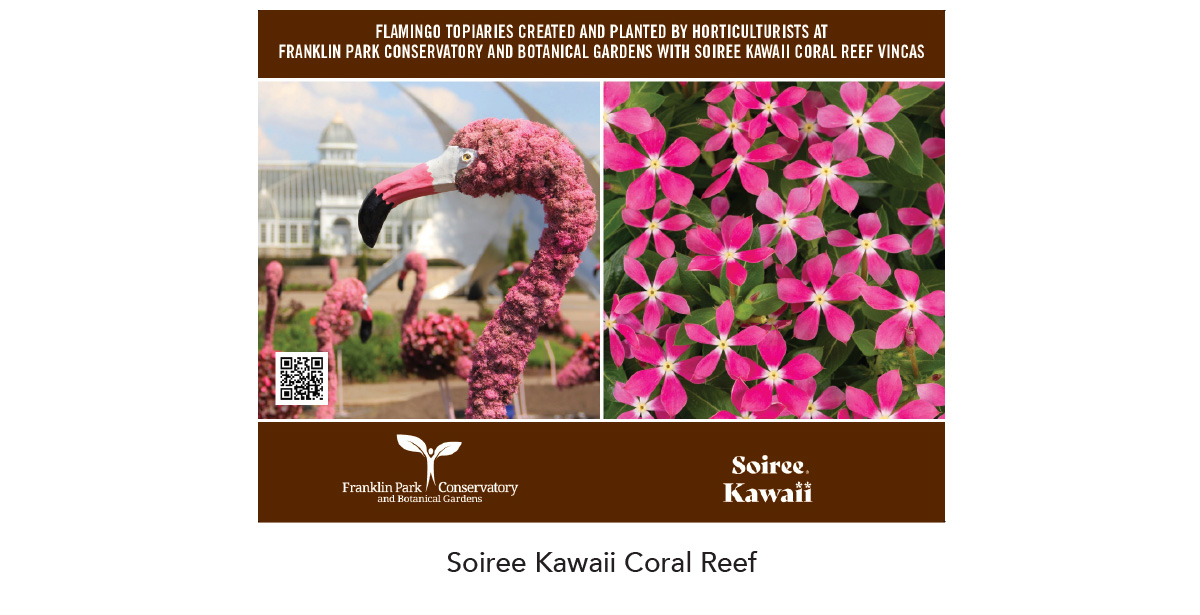 SOIREE KAWAII® Coral Reef