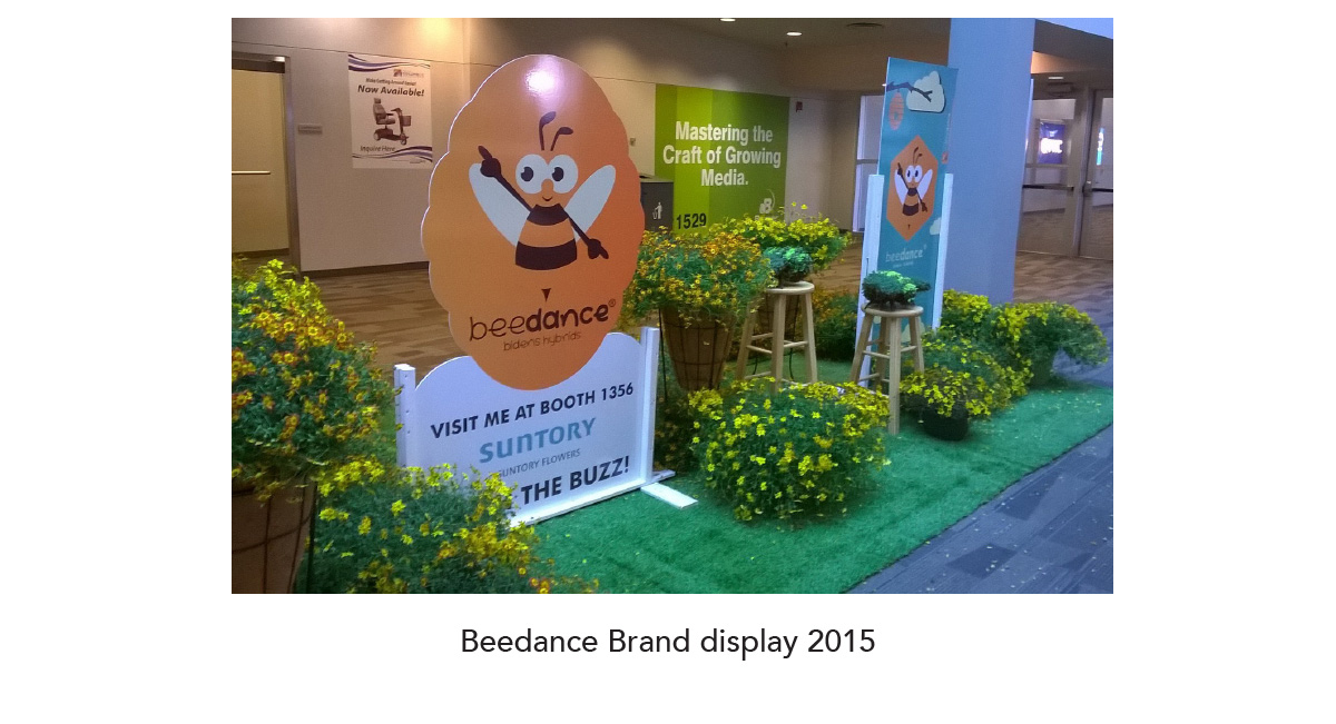 Beedance Bidens