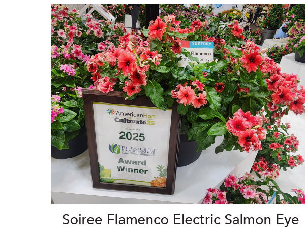 SOIREE® FLAMENCO Electric Salmon Eye