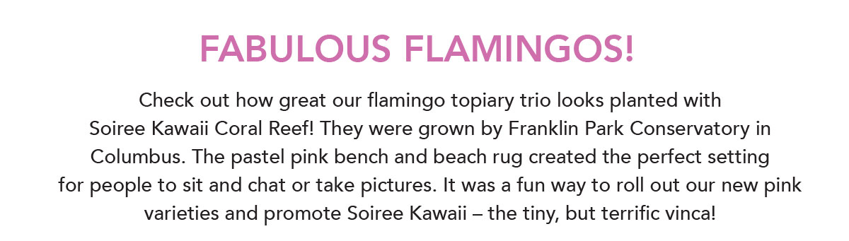 fabulous Flamingos