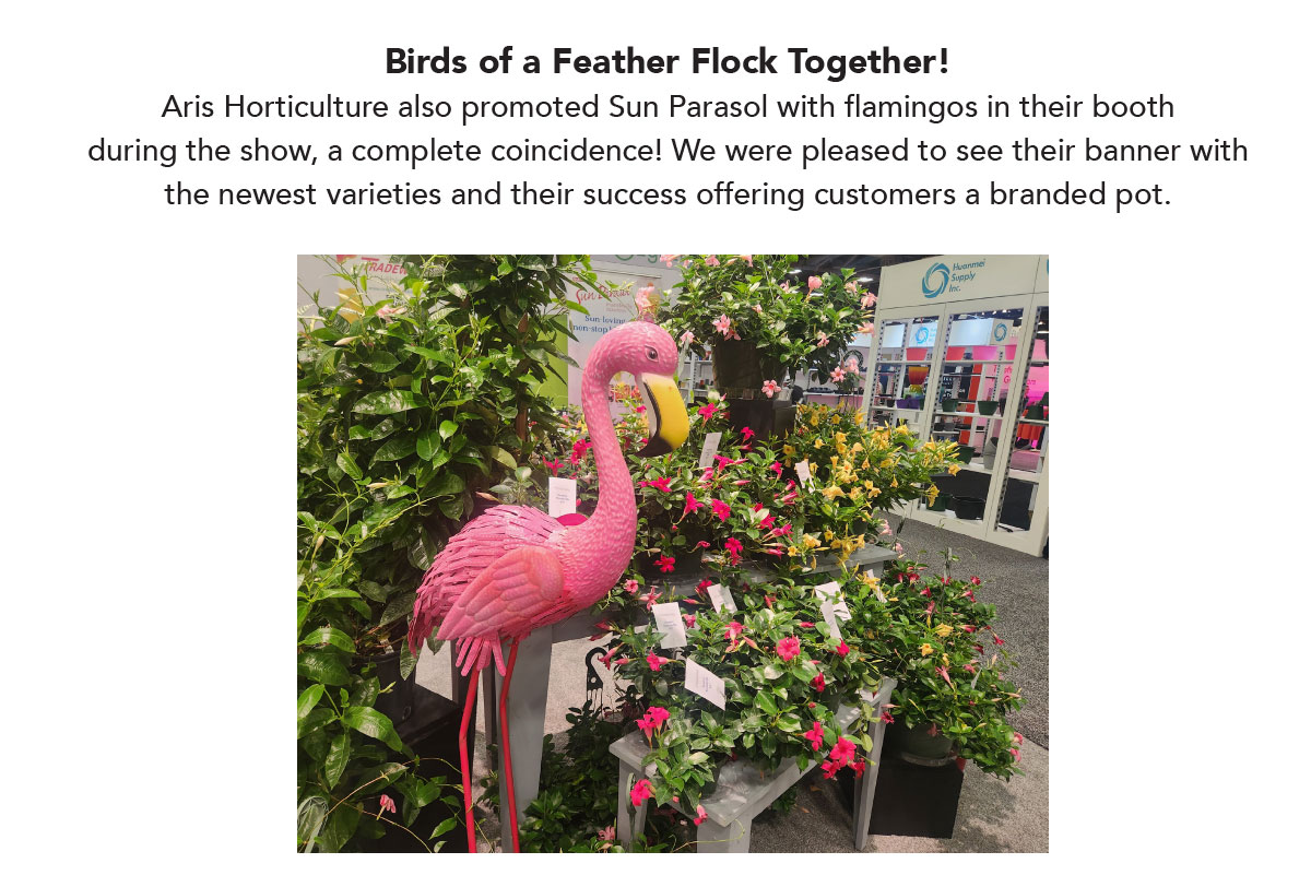 Birds of a feather