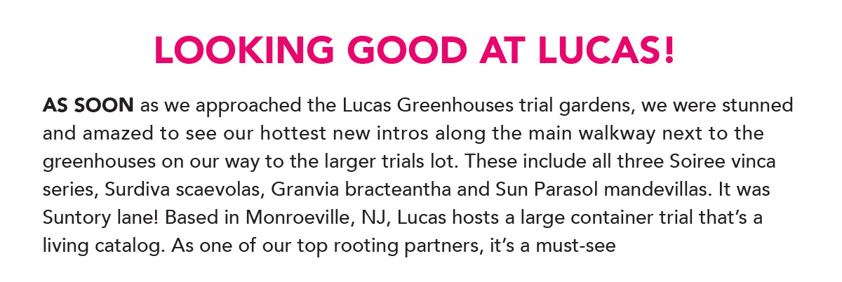 Looking good at Lucas