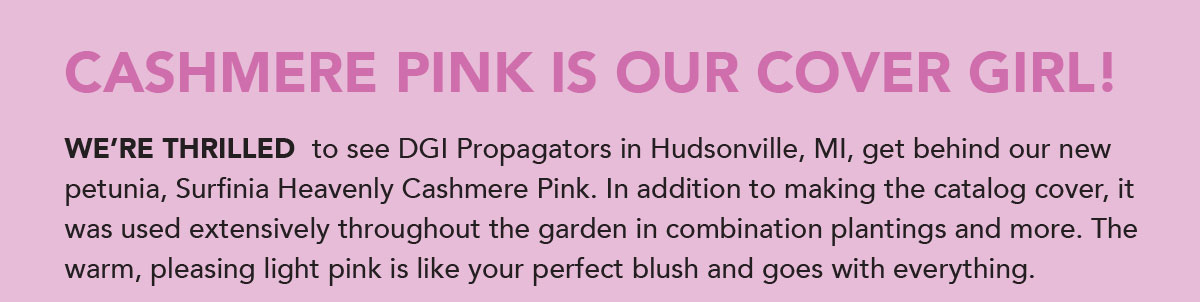 Cashmere Pink is our Cover Girl