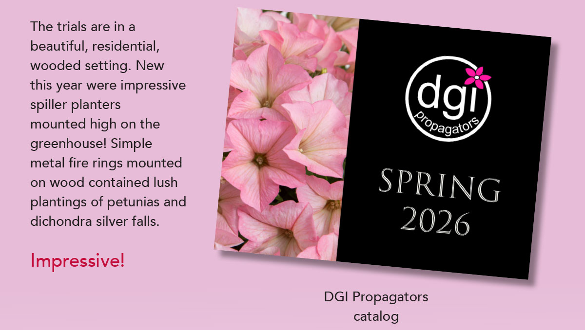 DGI Propagators catalog