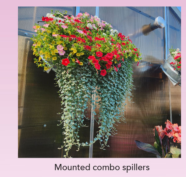 combo spillers