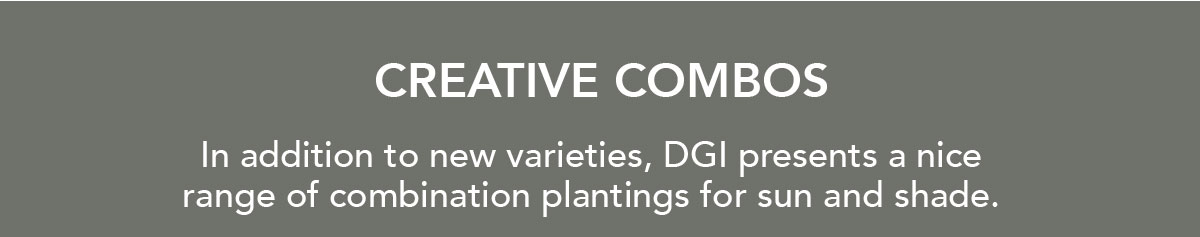 DGI Propagators