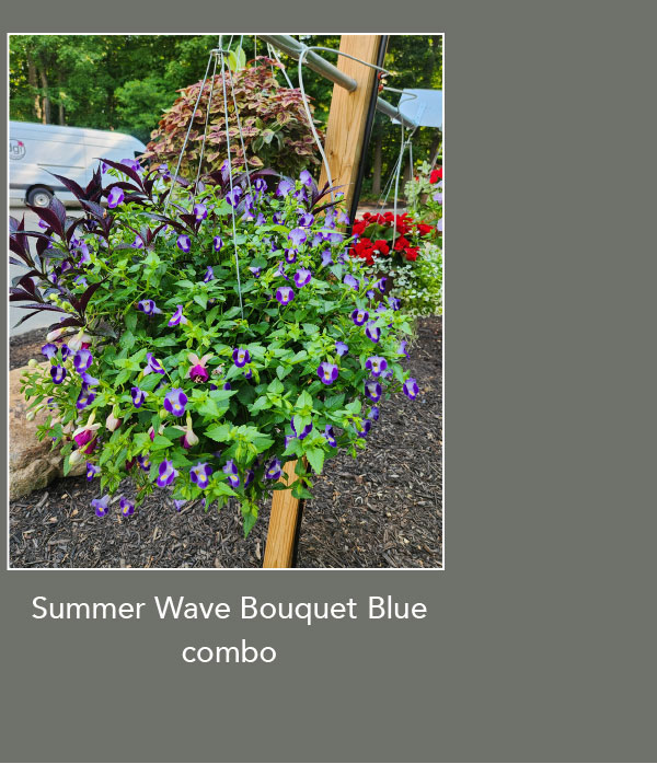 SUMMER WAVE® BOUQUET Blue combo