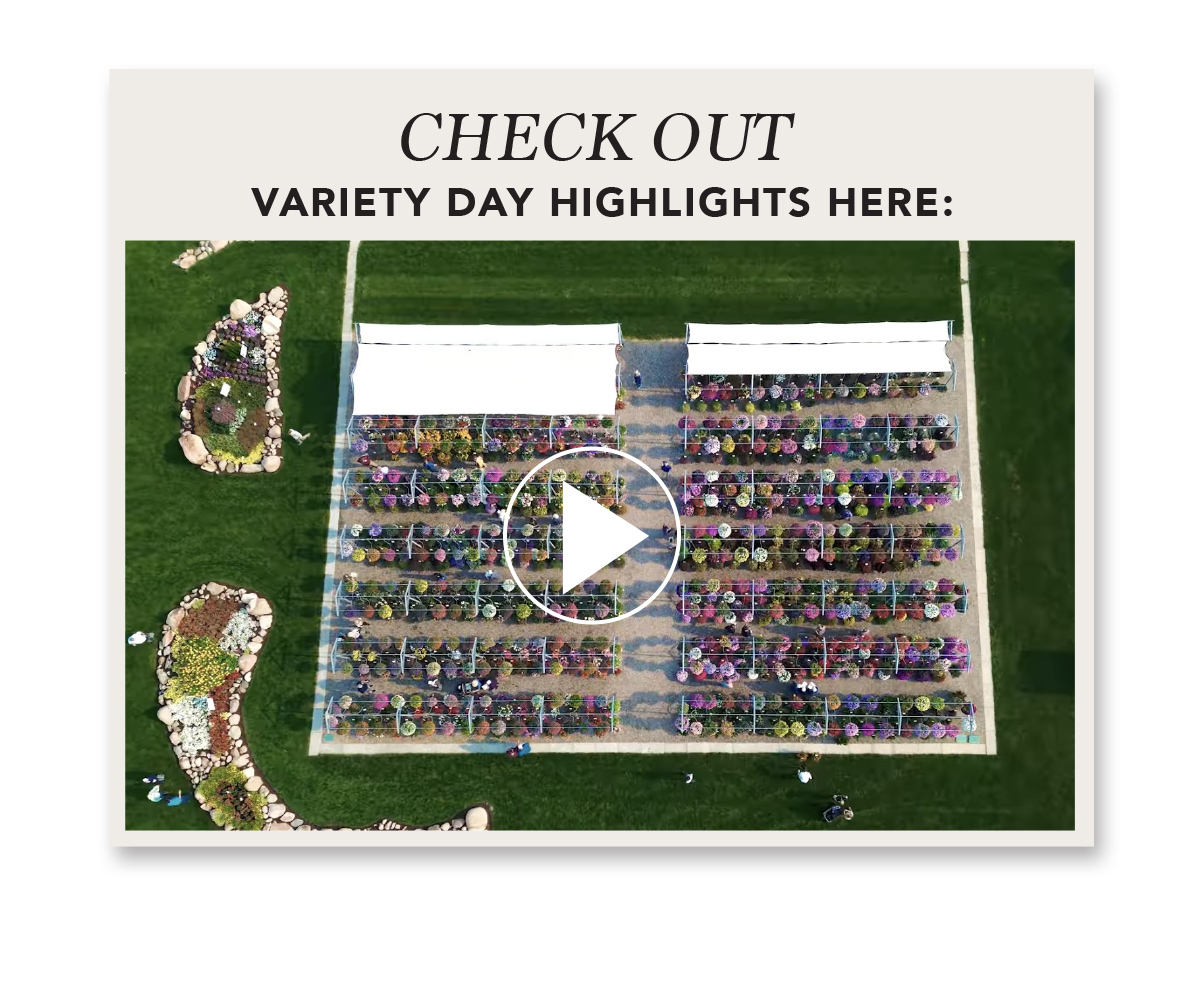 Plantpeddler Variety Day video