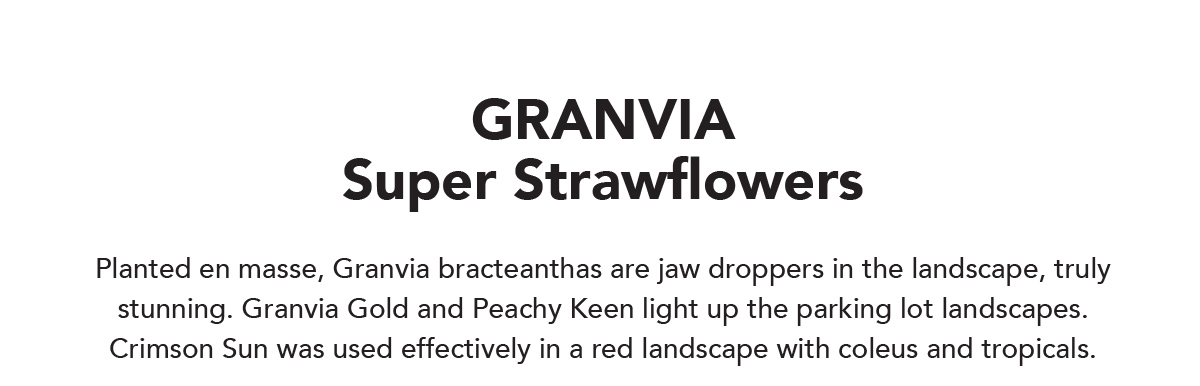 GRANVIA Series