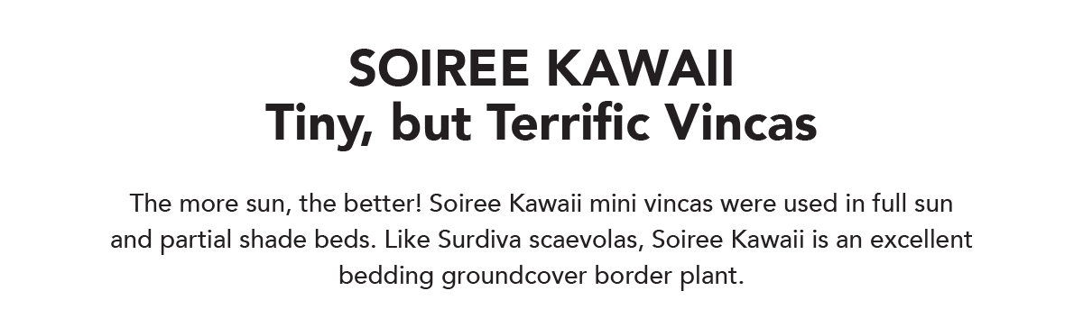 SOIREE KAWAII series