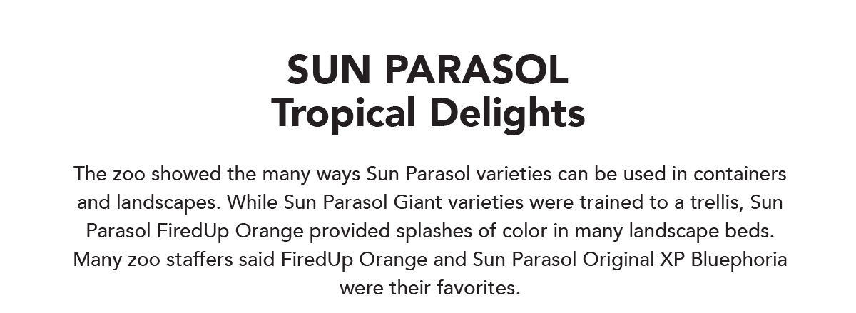 Sun Parasol Tropical Delights