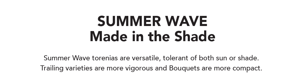 Summer Wave