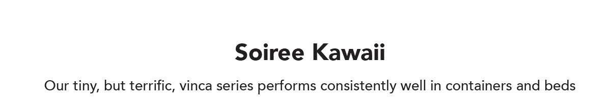 Soiree Kawaii