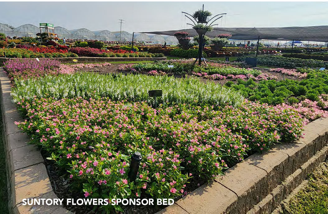 Suntory Flowers sponsor bed