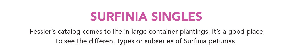 Surfinia Singles